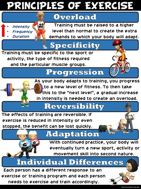 exercise definition in physical education|Physical Activity, Fitness, and Physical Education: Effects on .